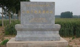 广西横店三子爆料视频最新,揭秘娱乐圈幕后真相