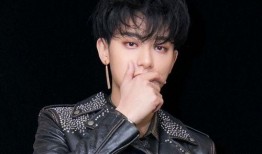 刘大锤爆料黄子韬视频,幕后真相引热议